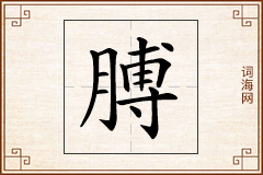 膊怎么写