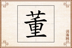 董怎么写