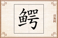 鳄怎么写