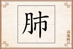 肺怎么写