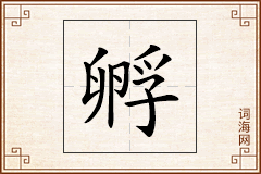 孵怎么写