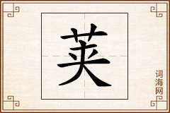 荚怎么写