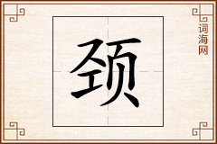颈怎么写