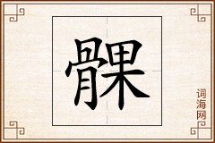 髁怎么写