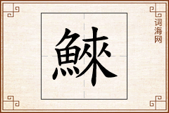 鯠怎么写