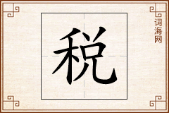 税怎么写