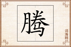 腾怎么写
