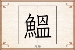 鰮怎么写