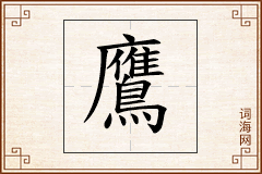 鷹怎么写