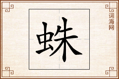 蛛怎么写