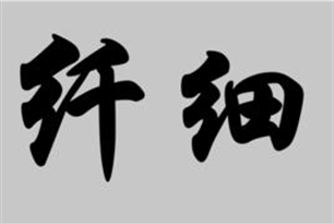 纤细的意思、造句、反义词