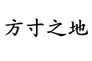 方寸之地的意思、造句、反义词