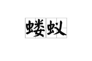 蝼蚁