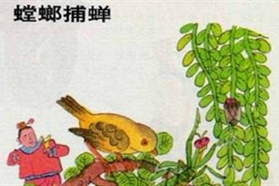 螳螂捕蝉