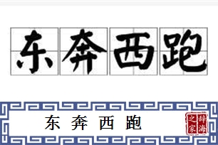 东奔西跑