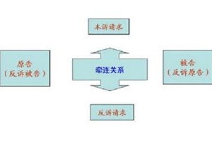 反诉的意思、造句、反义词