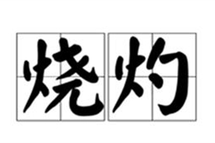 烧灼的意思、造句、近义词