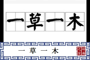 一草一木