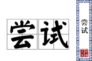 尝试的意思、造句、近义词