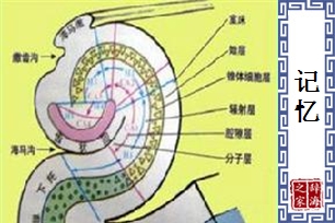 记忆的意思、造句、近义词