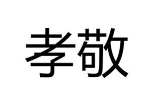 孝敬的意思、造句、反义词