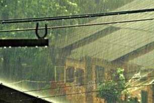 骤雨