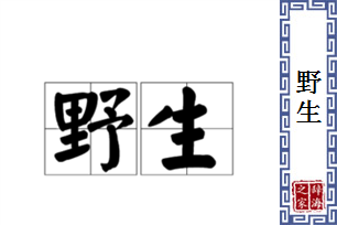 野生的意思、造句、反义词