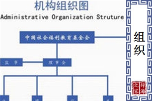 组织的意思、造句、近义词