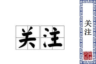 关注的意思、造句、反义词