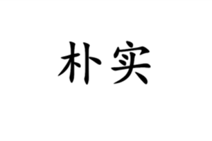 朴实的意思、造句、反义词