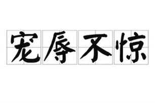 宠辱不惊的意思、造句、反义词