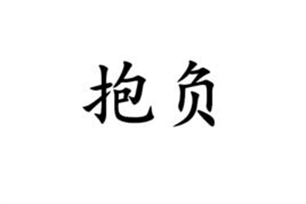 抱负的意思、造句、近义词