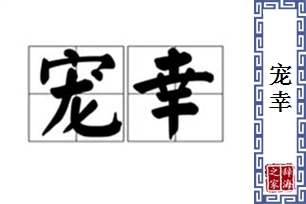 宠幸的意思、造句、反义词