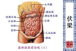 伏梁