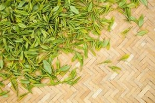 茶叶