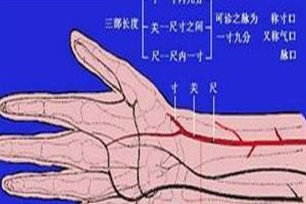 促脉