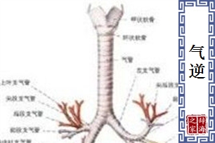 气逆