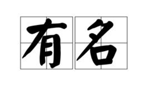 有名的意思、造句、反义词