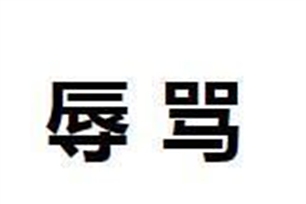 辱骂的意思、造句、近义词