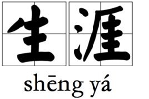 生涯的意思、造句、近义词