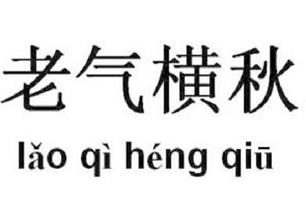 老气横秋的意思、造句、反义词