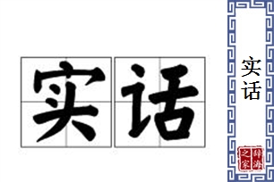 实话的意思、造句、近义词