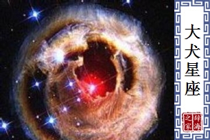 大犬星座