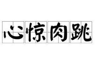 心惊肉跳的意思、造句、反义词