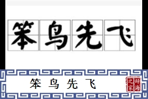 笨鸟先飞的意思、造句、反义词