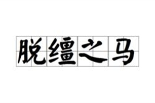 脱缰之马