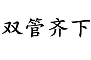 双管齐下的意思、造句、近义词