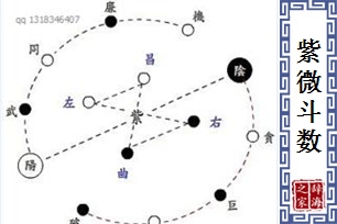 紫微斗数