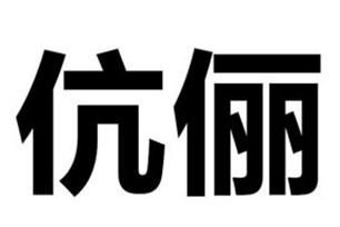 伉俪的意思、造句、近义词