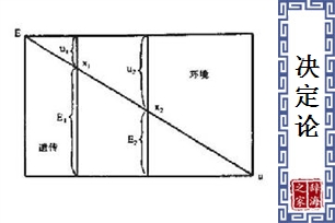 决定论